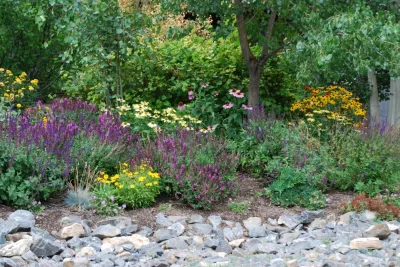 Edwards, CO garden remodel — Landscape Construction project by Earth Songs Gardening