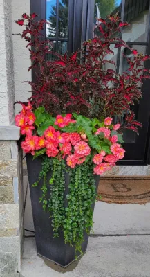 2024 Landscape Season — Landscape Construction project by Earth Songs Gardening