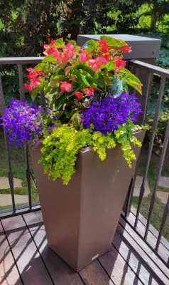 Earth Songs Gardening - Tree & Shrub Care in Avon, CO