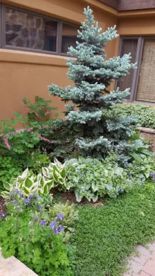 Sustainable Gardens — Landscape Construction project by Earth Songs Gardening