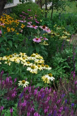 Earth Songs Gardening - Tree & Shrub Care in Avon, CO