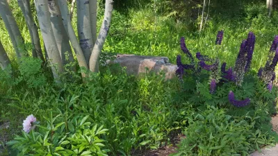 shade — Landscape Construction project by Earth Songs Gardening