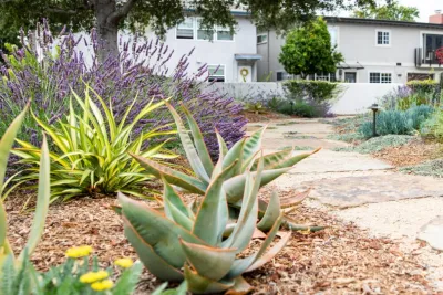 Ecotones Landscapes, Inc. - Drip Irrigation System Installation in San Luis Obispo, CA