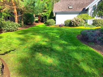 Evergreen Coast Lawn Care - Tree & Shrub Care in Blaine, WA