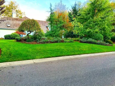 Evergreen Coast Lawn Care - Tree & Shrub Care in Blaine, WA