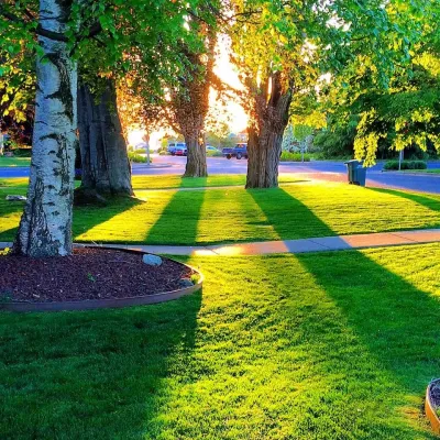Evergreen Coast Lawn Care - Tree & Shrub Care in Blaine, WA