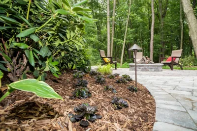 Evergreen Landscaping Services inc. - Tree Planting & Transplanting in Holland, MI