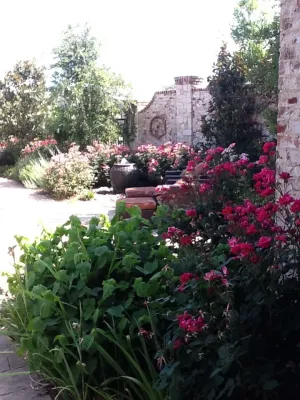 FineLines Design Studio - Paver Installation in Dallas, TX