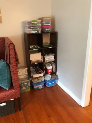Playroom Arrangement — Professional Home Organizers project by Orderly SC