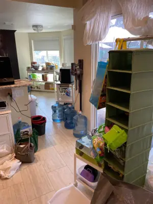 The Organization Maven - Professional Home Organizers in Fullerton, CA