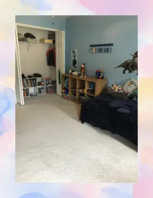 Declutter with Devon LLC - Professional Home Organizers in Avon, OH