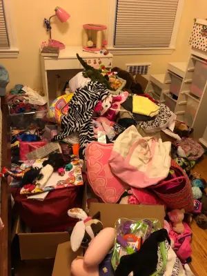 Ace of Space DC - Professional Home Organizers in Springfield, VA