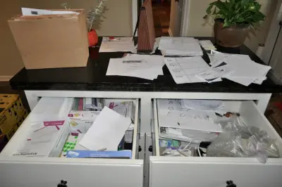 Bloom Your Space Organizing - Professional Home Organizers in Katy, TX