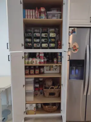 Organizational Initiatives — Professional Home Organizers project by Michelle Mejia LLC