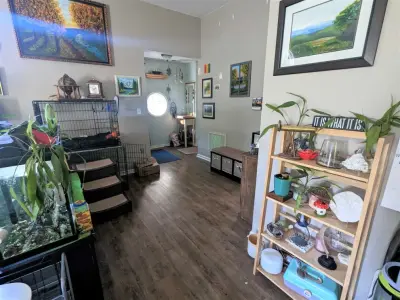 Calm Cottage Coaching - Interior Design & Decorating in York, SC