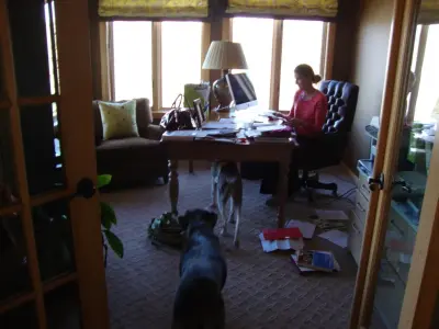 Spruce Organizing - Custom Cabinets & Cabinetry in Petoskey, MI
