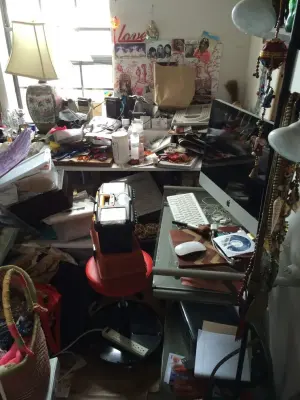 Lighter And Brighter - Junk Removal & Hauling in Los Angeles, CA