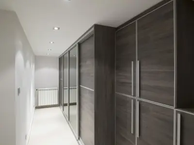 Luxury Contemporary Storage Solutions by Closet Solutions