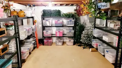 Categorically Caroline - Junk Removal & Hauling in Manassas, VA