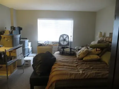 Organized by Nicole - Junk Removal & Hauling in Winter Haven, FL