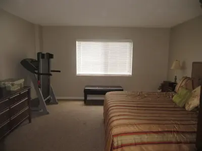 Organized by Nicole - Junk Removal & Hauling in Winter Haven, FL