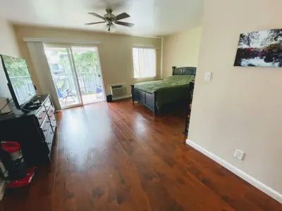 Living Lite Organized - Junk Removal & Hauling in Concord, CA
