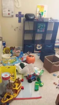 Serene Spaces Professional Organizing - Junk Removal & Hauling in St Augustine, FL