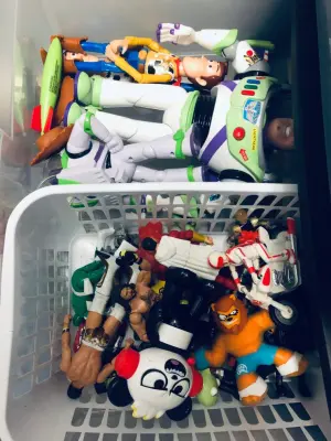 Home Sweet Organized - Junk Removal & Hauling in Lafayette, LA