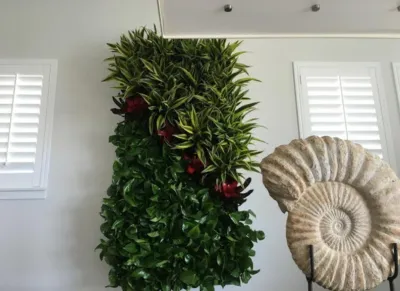 Interior Services — Landscape Construction project by Interior & Exterior Environmental Designs in Carlsbad