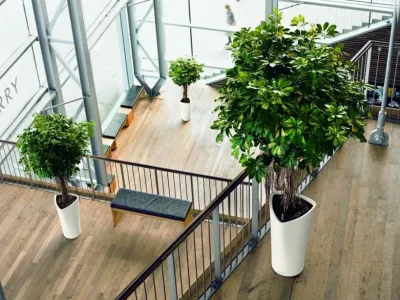 Interior & Exterior Environmental Designs - Tree & Shrub Care in Carlsbad, CA