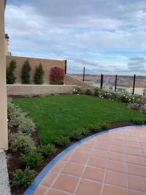 Interior & Exterior Environmental Designs - Tree & Shrub Care in Carlsbad, CA