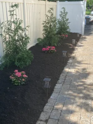 Simple Landscape, Landscape Lighting Design and Nicolock Paver Walkway — Landscape Construction project by Joseph Matthew Landscape Inc Design & Build in Merrick