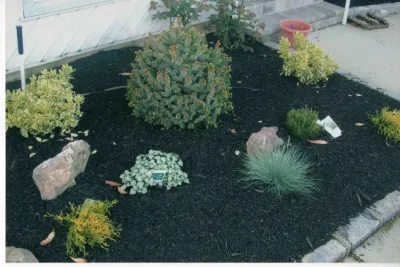 Front Yard landscaping with Belgium Block tree rings by Joseph Matthew Landscape Inc Design & Build