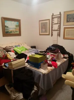 Organized by Nicole - Junk Removal & Hauling in Winter Haven, FL