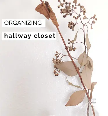 Closet Organization for Hallways — Professional Home Organizers project by Organizational Logistics LLC.