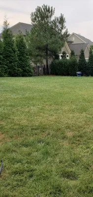 JPG Landwork - Tree & Shrub Care in Monroe, NC