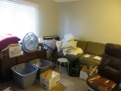 Organized by Nicole - Junk Removal & Hauling in Winter Haven, FL