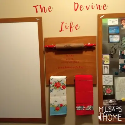 Pantry Organization for the Kitchen — Professional Home Organizers project by MILSAPS At HOME