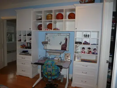 Lexington Custom Installations — Professional Home Organizers project by Helene Hass Tatkow