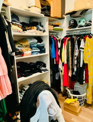 Always Arlene Home Organizing - Junk Removal & Hauling in Chicago, IL