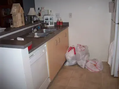 Lighten Up Organizing - Professional Home Organizers in Gresham, OR