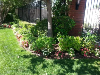 KT Construction - Landscape Design in Mission Viejo, CA