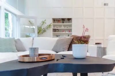 Palisades Initiative — Professional Home Organizers project by Little Simplicity: Decorator & Organizer