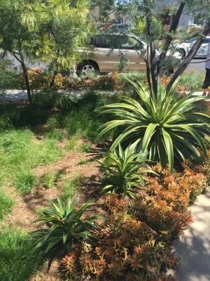 L.I.U. Landscape Inc. - Drip Irrigation System Installation in Temple City, CA