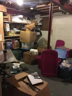 Braun Strategic Resources Inc. - Junk Removal & Hauling in Chicago, IL