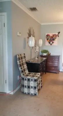 Carmen Muniz, Professional Organizer - Junk Removal & Hauling in Clearwater, FL