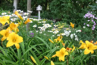 Landscape Associates of De Pere Inc. - Outdoor Lighting Installation in de Pere, WI