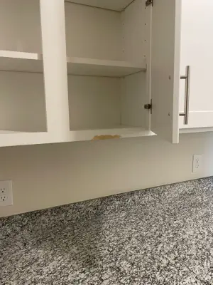 Knockout Punch & Trim - Handyman Services in Nolanville, TX