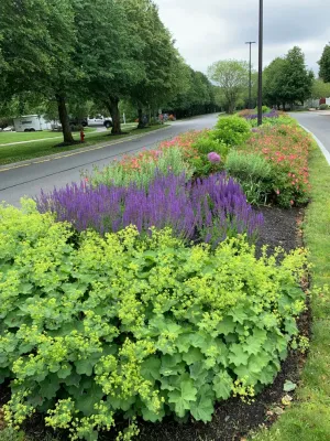 Lattanzio Landscapes - Garden Remodeling in Milton, MA