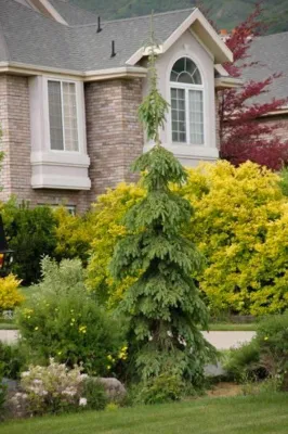 Laytonscape - Outdoor Lighting Installation in Kaysville, UT